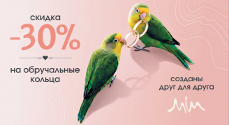 неразлучники
