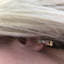 review_photo